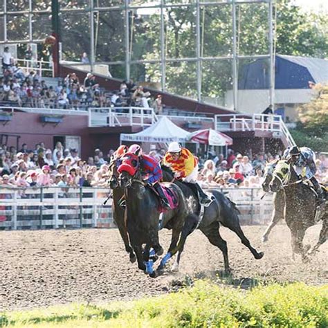 horse races vancouver|hastings racecourse & casino.